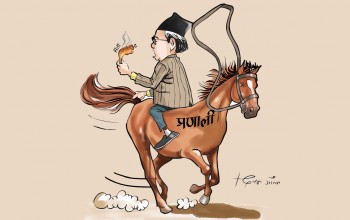 मुख्य समस्या प्रणालीको